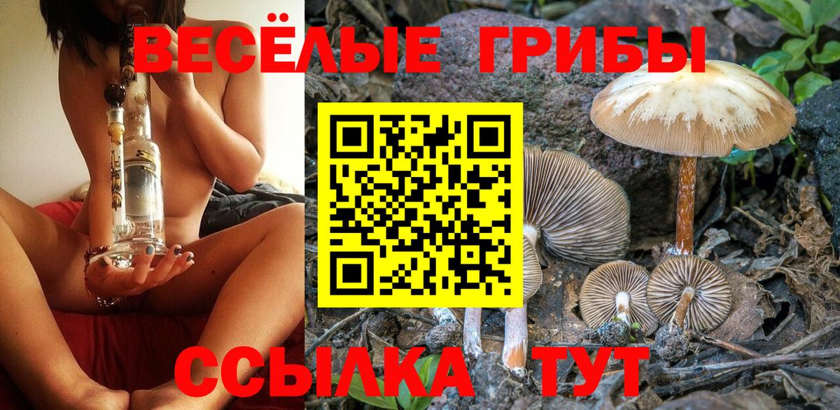 Галлюциногенные грибы Psilocybe  Вход с VPN  купить закладку  Люберцы 